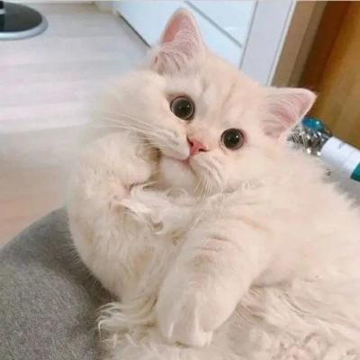 Fajar Nugroho avatar