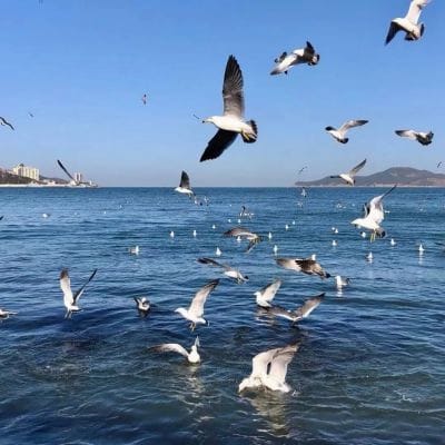 Hendra Wijaya avatar